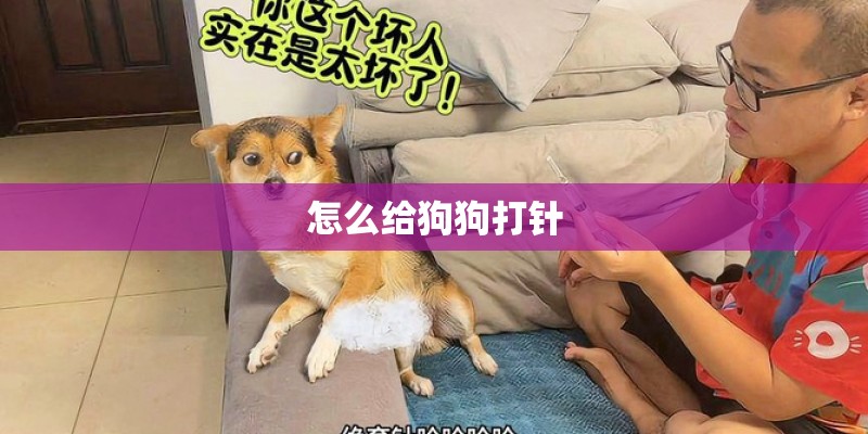 怎么给狗狗打针