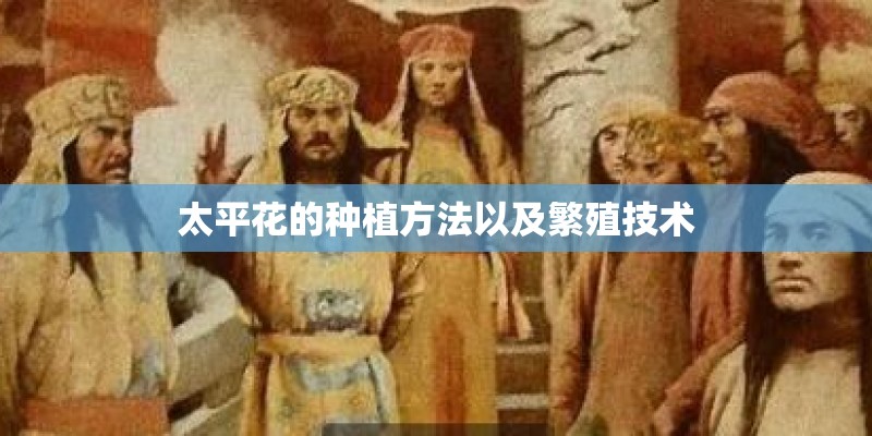 太平花的种植方法以及繁殖技术
