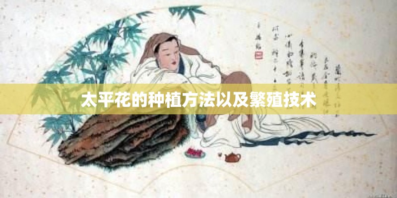太平花的种植方法以及繁殖技术