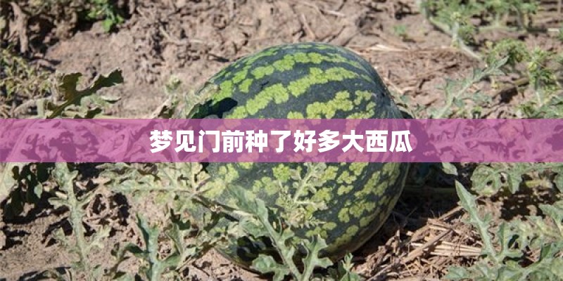 梦见门前种了好多大西瓜