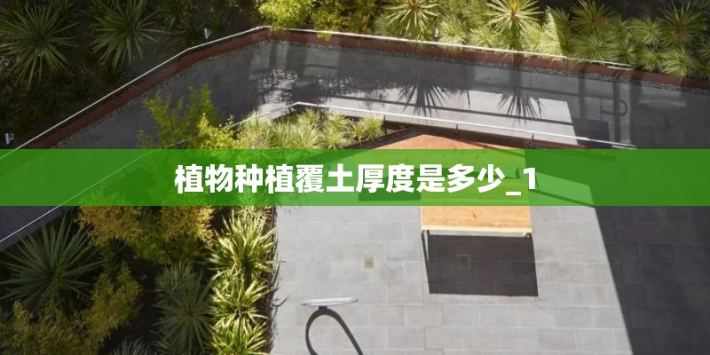 植物种植覆土厚度是多少_1