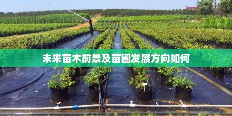 未来苗木前景及苗圃发展方向如何
