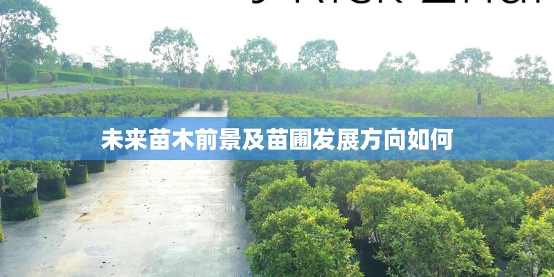未来苗木前景及苗圃发展方向如何
