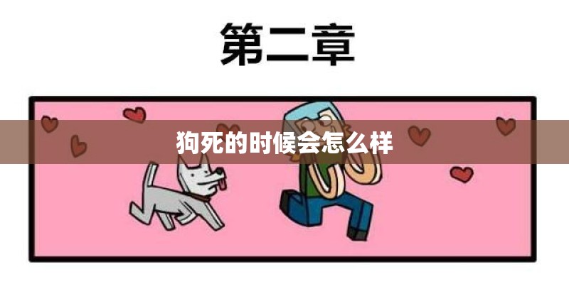 狗死的时候会怎么样