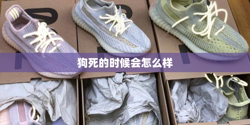 狗死的时候会怎么样