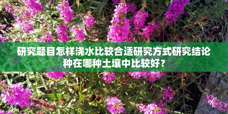 研究题目怎样浇水比较合适研究方式研究结论种在哪种土壤中比较好？