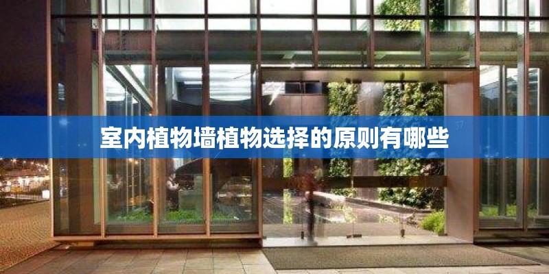 室内植物墙植物选择的原则有哪些