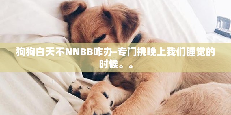 狗狗白天不NNBB咋办-专门挑晚上我们睡觉的时候。。