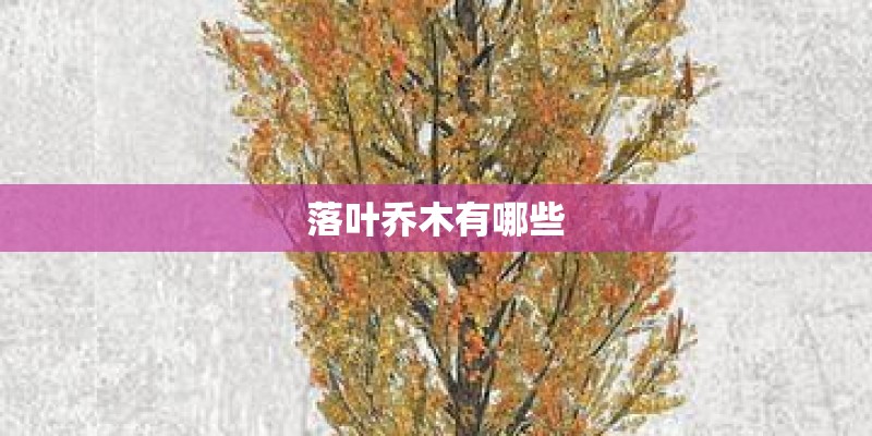 落叶乔木有哪些
