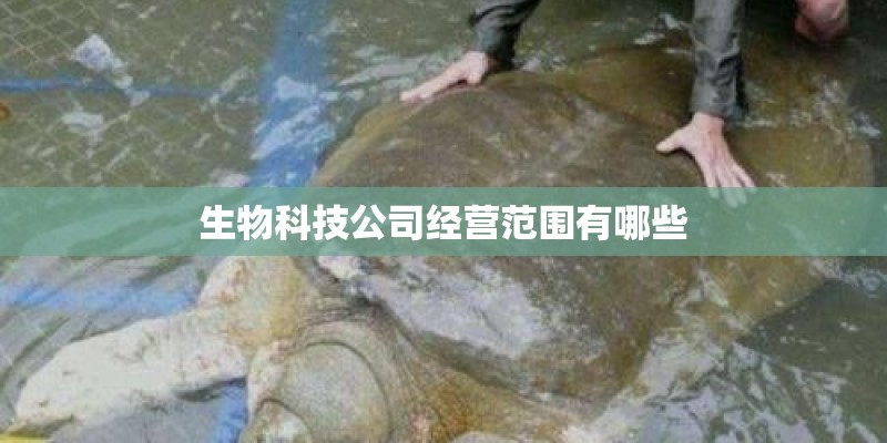 生物科技公司经营范围有哪些