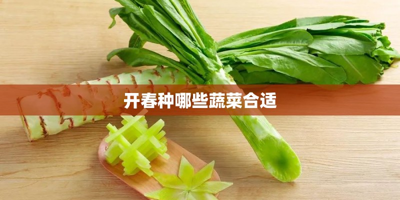 开春种哪些蔬菜合适
