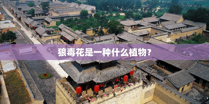 狼毒花是一种什么植物? 狼毒花是一种什么植物?