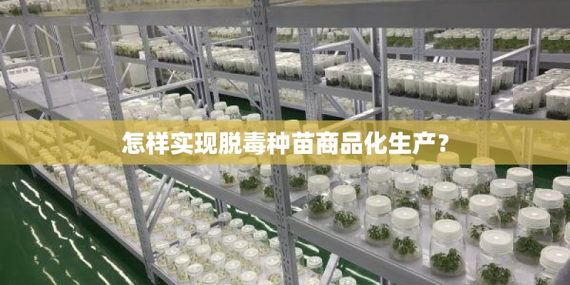 怎样实现脱毒种苗商品化生产？