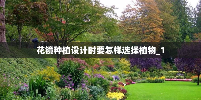 花镜种植设计时要怎样选择植物_1