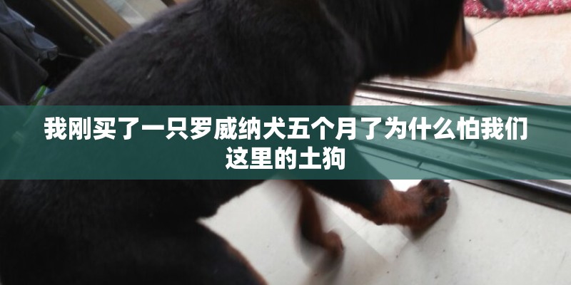平遥今天24小时的天气怎么样