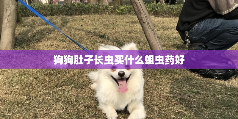 狗狗肚子长虫买什么蛆虫药好