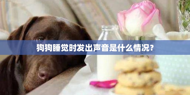 狗狗睡觉时发出声音是什么情况? 狗狗睡觉时发出声音是什么情况?