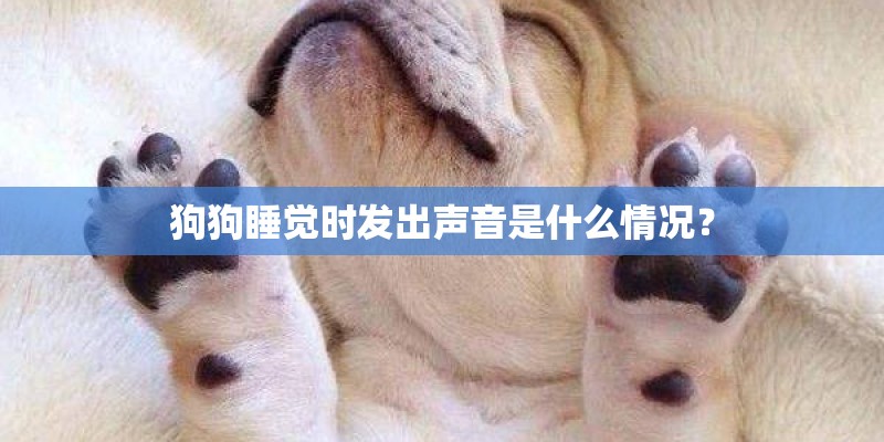 狗狗睡觉时发出声音是什么情况? 狗狗睡觉时发出声音是什么情况?