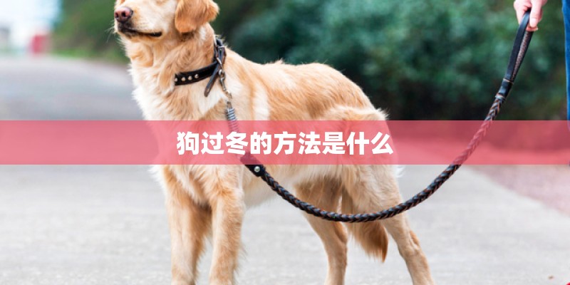 邮政快递只有尾号怎么查