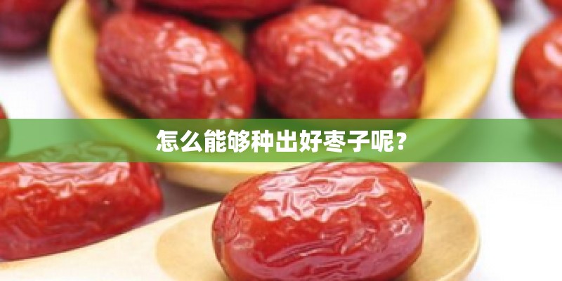 怎么能够种出好枣子呢？