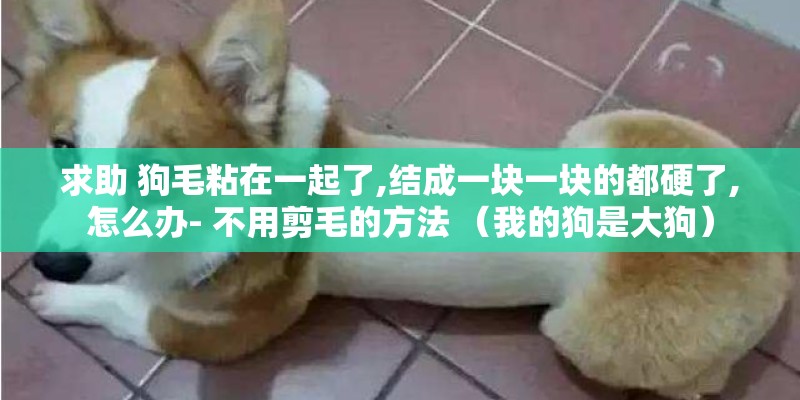 蚕妇唐杜荀鹤拼音版