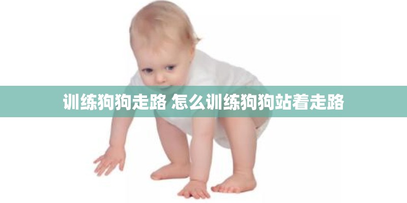 训练狗狗走路 怎么训练狗狗站着走路