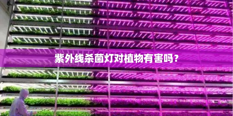 紫外线杀菌灯对植物有害吗？