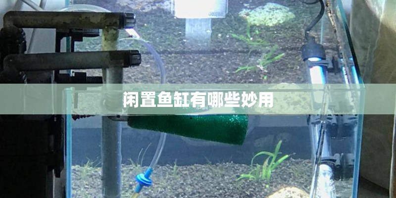 闲置鱼缸有哪些妙用