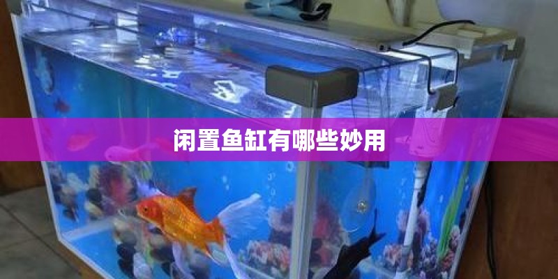 闲置鱼缸有哪些妙用