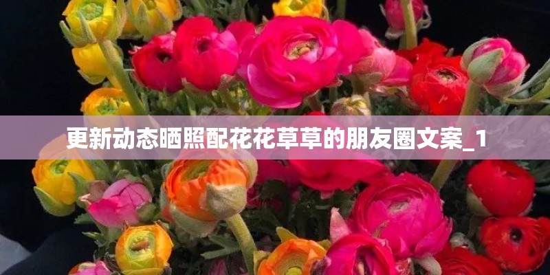 更新动态晒照配花花草草的朋友圈文案_1