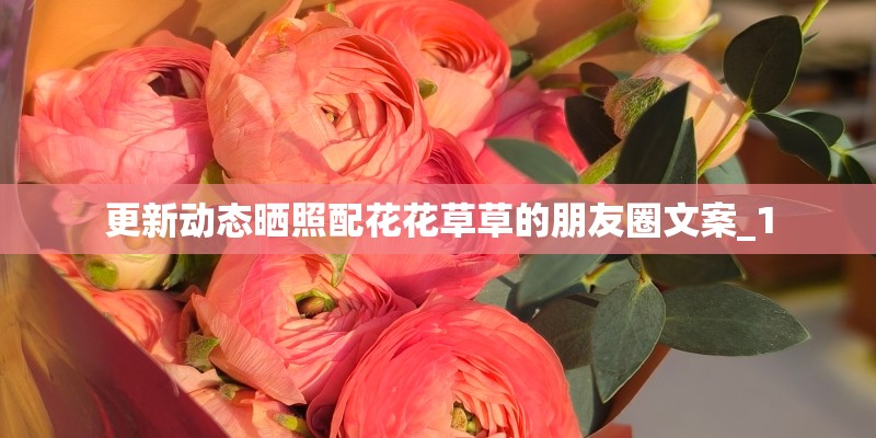 更新动态晒照配花花草草的朋友圈文案_1