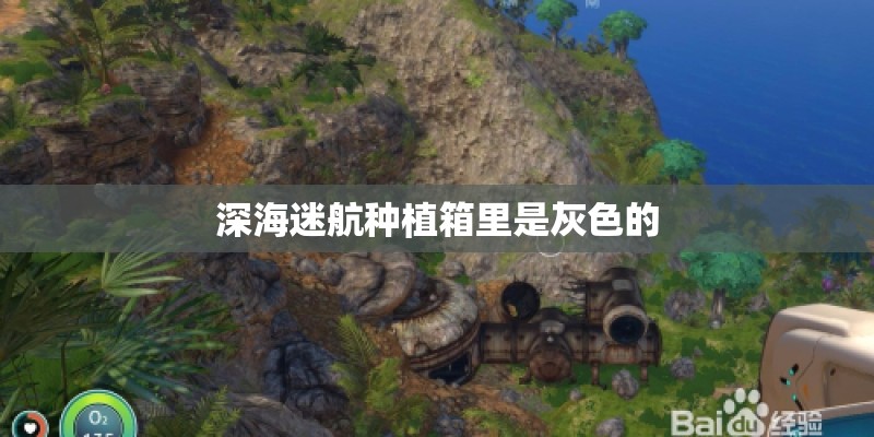 深海迷航种植箱里是灰色的