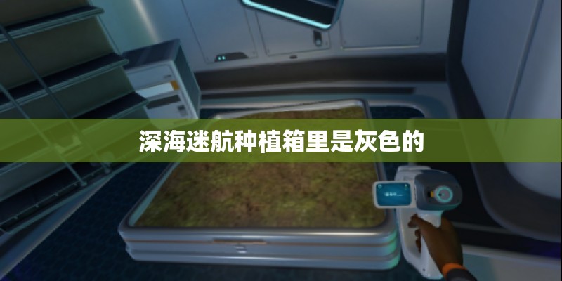 深海迷航种植箱里是灰色的