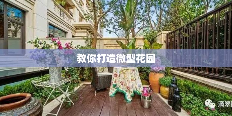 教你打造微型花园