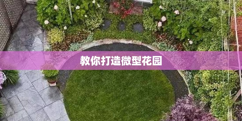 教你打造微型花园