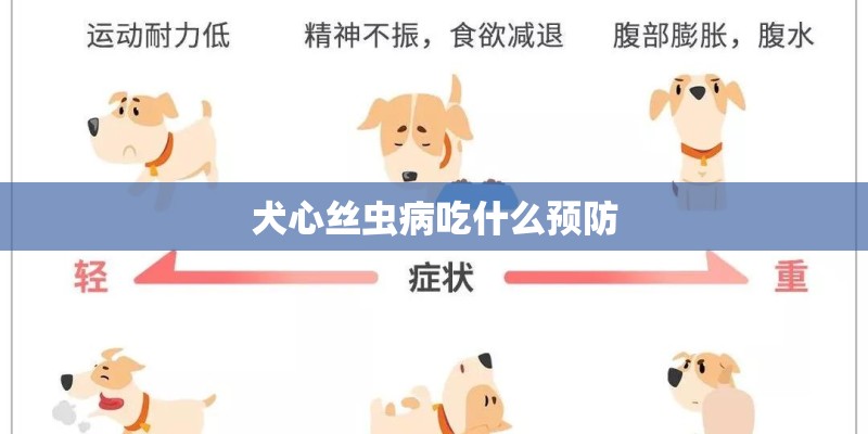 犬心丝虫病吃什么预防