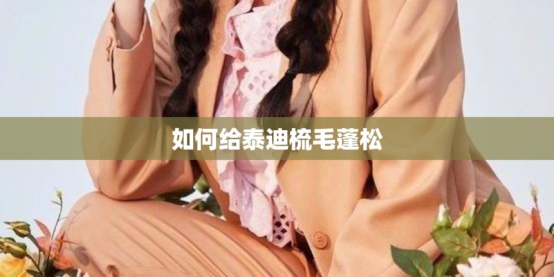 如何给泰迪梳毛蓬松
