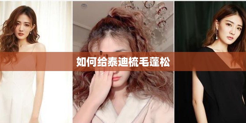 如何给泰迪梳毛蓬松