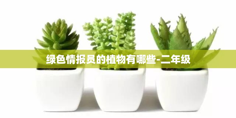 绿色情报员的植物有哪些-二年级