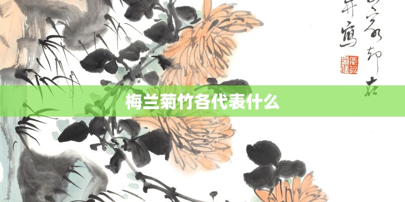 梅兰菊竹各代表什么