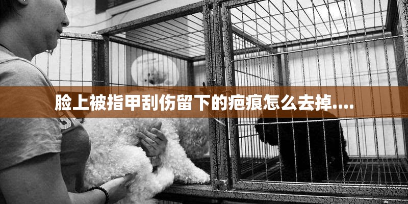 脸上被指甲刮伤留下的疤痕怎么去掉....