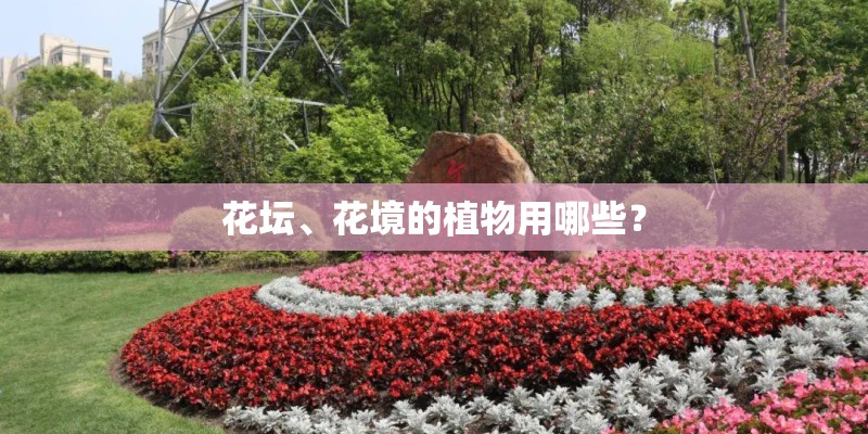 花坛、花境的植物用哪些? 花坛、花境的植物用哪些?