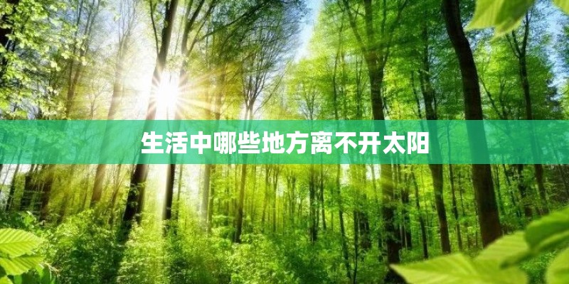 生活中哪些地方离不开太阳