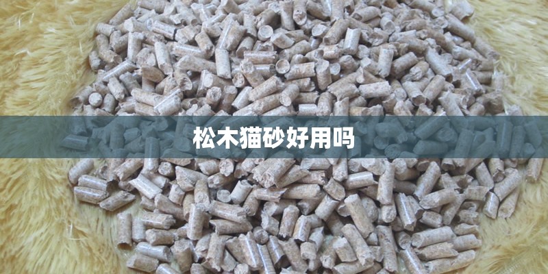 松木猫砂好用吗