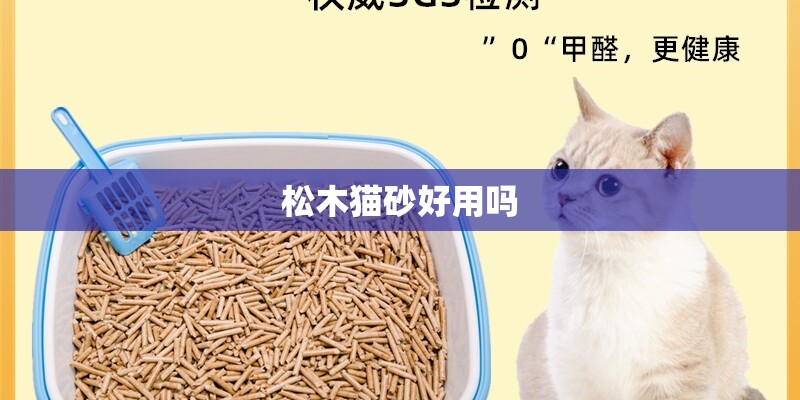 内自锚式球墨铸铁管需要浇筑支墩吗