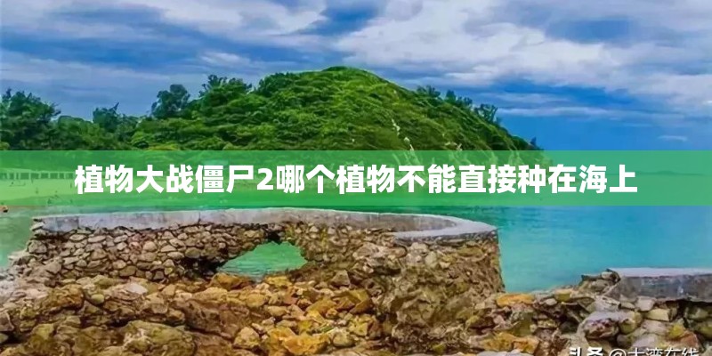 植物大战僵尸2哪个植物不能直接种在海上