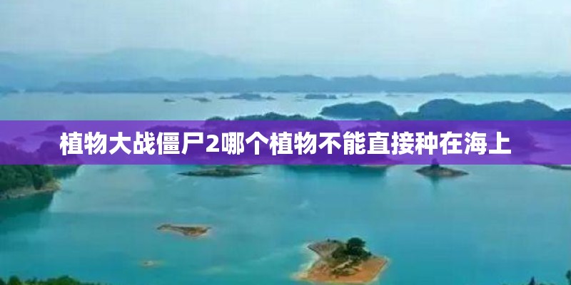 植物大战僵尸2哪个植物不能直接种在海上