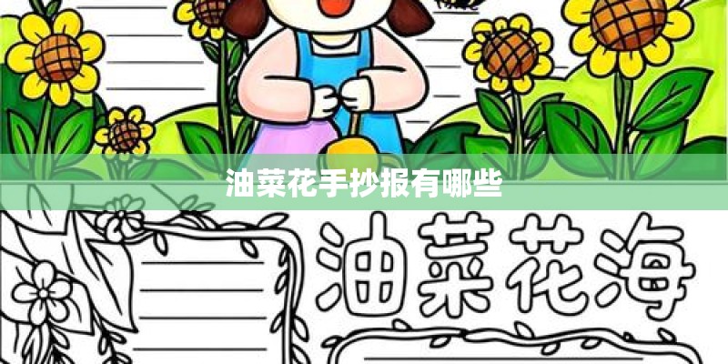 油菜花手抄报有哪些