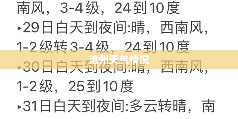 沧州天气情况
