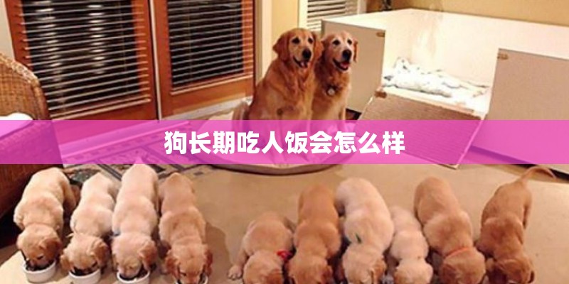 狗长期吃人饭会怎么样